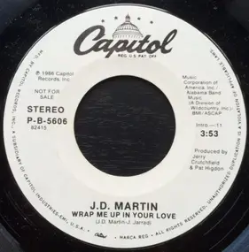 J.D. Martin - Wrap Me Up In Your Love