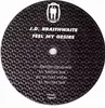 2 x 12inch Vinyl Single - J.D. Braithwaite - Feel My Desire