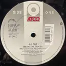 12inch Vinyl Single - J.J. Fad - We In The House
