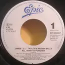 7inch Vinyl Single - J.T. Taylor & Regina Belle - All I Want Is Forever