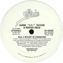 12inch Vinyl Single - J.T. Taylor & Regina Belle - All I Want Is Forever
