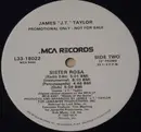 12inch Vinyl Single - J.T. Taylor - Sister Rosa