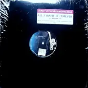 12inch Vinyl Single - J.T. Taylor, Regina Belle - All I Want Is Forever