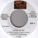 7inch Vinyl Single - Ja Rule feat. Case - Livin' It Up