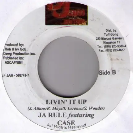 Ja Rule feat. Case - Livin' It Up