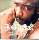 CD Single - Ja Rule - Thug Lovin' - Cardboard Sleeve