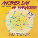 CD Single - Jam Tronik - Another Day In Paradise (Dance Version - Remix) - mini cd