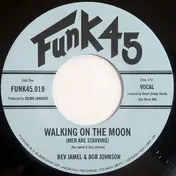 Bob Johnson - Walking On The Moon (Men Are Starving)
