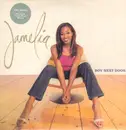 12inch Vinyl Single - Jamelia - Boy Next Door (Remixes)