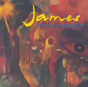 CD Single - James - Born Of Frustration