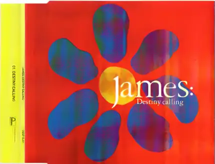 James - Destiny Calling