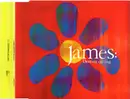 CD Single - James - Destiny Calling