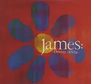 CD Single - James - Destiny Calling