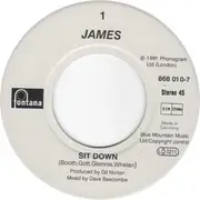 7inch Vinyl Single - James - Sit Down