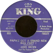 James Brown - Papa's Got a Brand New Bag