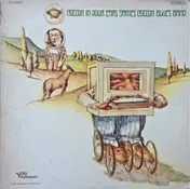 James Cotton - Cotton in Your Ears