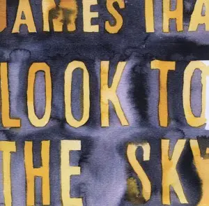 James Iha - Look to the Sky