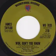 7inch Vinyl Single - James Taylor - Don't Let Me Be Lonely Tonight