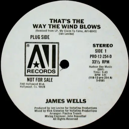 James Wells - That's The Way The Wind Blows