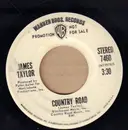 7inch Vinyl Single - James Taylor - Country Road - Promo