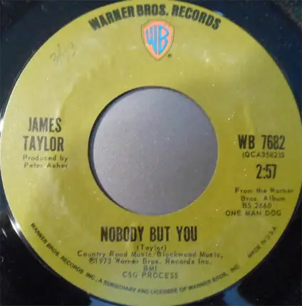 James Taylor - One Man Parade