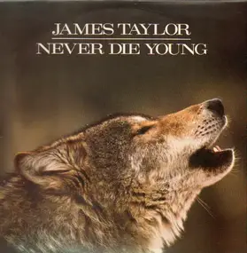 James Taylor - Never Die Young