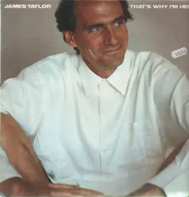 James Taylor - That's Why I'm Here