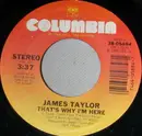 7inch Vinyl Single - James Taylor - That's Why I'm Here