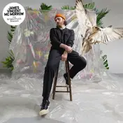 JAMES VINCENT MCMORROW - Grapefruit Season