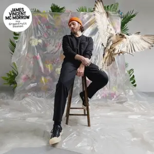 James Vincent Mcmorrow - Grapefruit Season