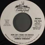 James Vincent - How Can I Thank You Enough