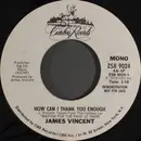 7inch Vinyl Single - James Vincent - How Can I Thank You Enough