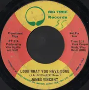 James Vincent - Look What You Have Done