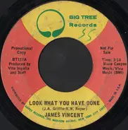 James Vincent - Look What You Have Done