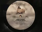 LP - James Vincent - Waiting For The Rain