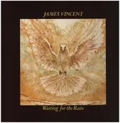 James Vincent - Waiting for the Rain