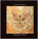 LP - James Vincent - Waiting For The Rain