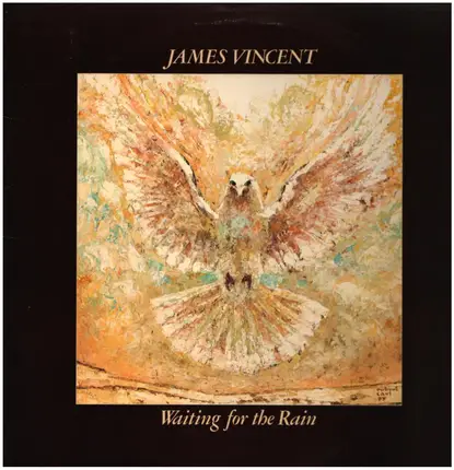 James Vincent - Waiting for the Rain