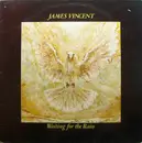 LP - James Vincent - Waiting For The Rain