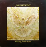 LP - James Vincent - Waiting For The Rain