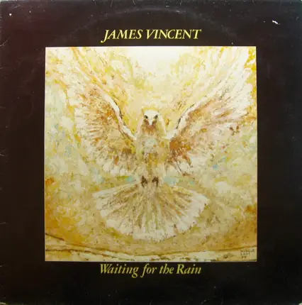 James Vincent - Waiting for the Rain