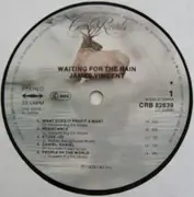 LP - James Vincent - Waiting For The Rain