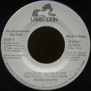 7inch Vinyl Single - James Ward - Child Of Bethlehem - Promo