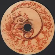 CD - James Yorkston - The Year Of The Leopard