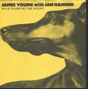 James Young with Jan Hammer