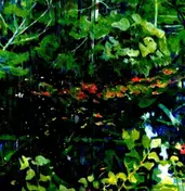 James Blackshaw - HOLLY EP