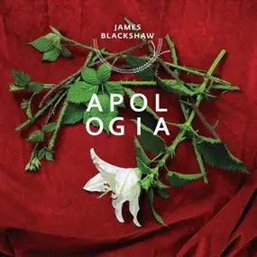 James Blackshaw - Apologia