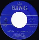 7inch Vinyl Single - James Brown & The Famous Flames - America Is My Home