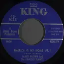 7inch Vinyl Single - James Brown & The Famous Flames - America Is My Home