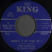 James Brown & The Famous Flames - America Is My Home